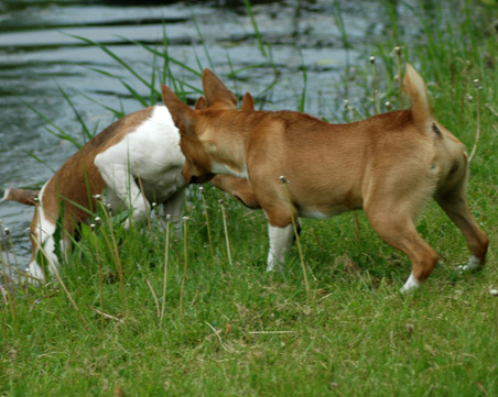 Enlarge photo 90