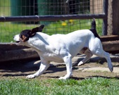 Enlarge photo 41