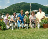 Enlarge photo 66