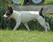 Enlarge photo 163