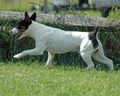 Enlarge photo 162