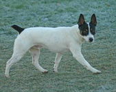 Enlarge photo 99