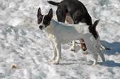 Enlarge photo 84