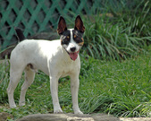 Enlarge photo 160