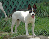 Enlarge photo 159
