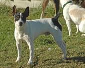 Enlarge photo 93