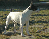 Enlarge photo 90