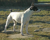 Enlarge photo 89