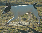 Enlarge photo 88