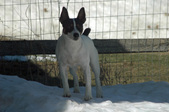 Enlarge photo 79