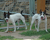 Enlarge photo 156