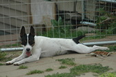 Enlarge photo 155