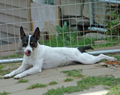 Enlarge photo 153