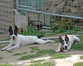 Enlarge photo 152