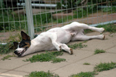 Enlarge photo 140