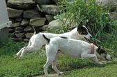 Enlarge photo 139