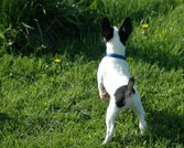 Enlarge photo 222