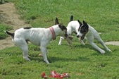 Enlarge photo 138