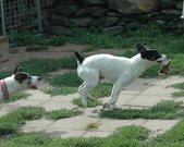 Enlarge photo 136