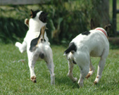 Enlarge photo 134
