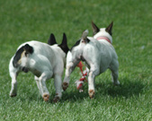 Enlarge photo 132
