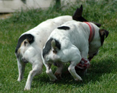 Enlarge photo 131