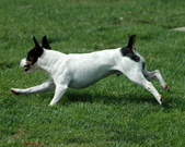 Enlarge photo 129