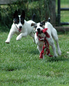 Enlarge photo 128