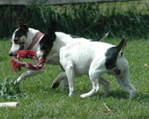 Enlarge photo 124