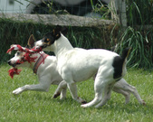 Enlarge photo 123