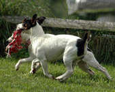 Enlarge photo 122