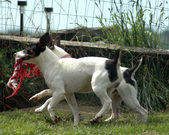Enlarge photo 121