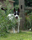 Enlarge photo 120