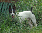 Enlarge photo 119