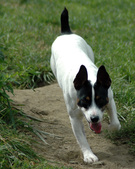 Enlarge photo 118