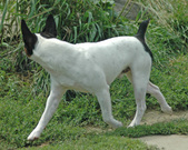 Enlarge photo 117