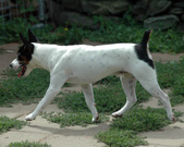 Enlarge photo 116
