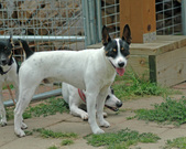 Enlarge photo 115