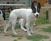 Enlarge photo 114