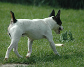 Enlarge photo 113