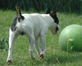 Enlarge photo 112