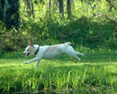 Enlarge photo 218