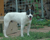 Enlarge photo 111