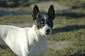 Enlarge photo 95