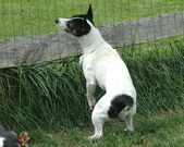 Enlarge photo 109