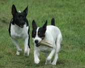 Enlarge photo 106
