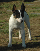Enlarge photo 68