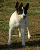 Enlarge photo 67
