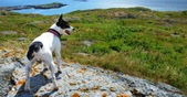 Enlarge photo 9
