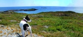 Enlarge photo 7